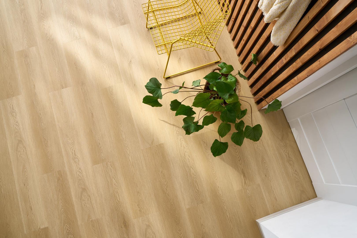 Woodric – Holman Oak i rom