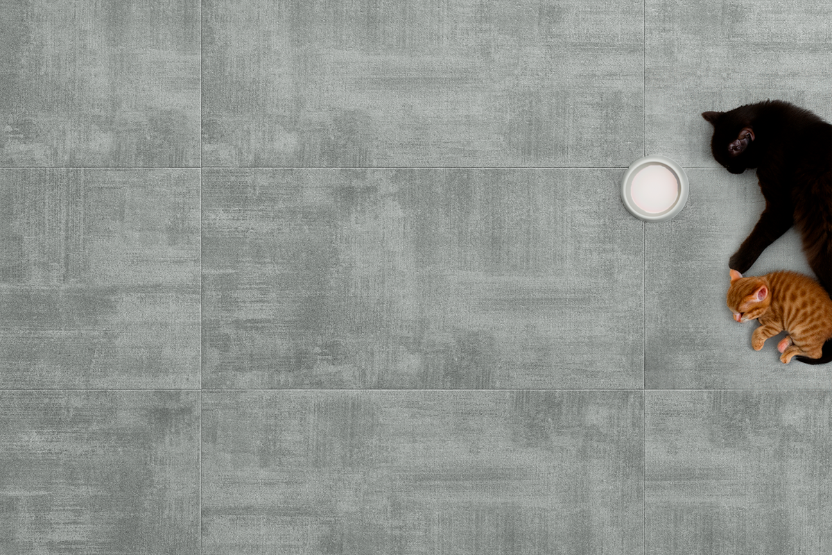 Amaron Forma – Amadora Grey