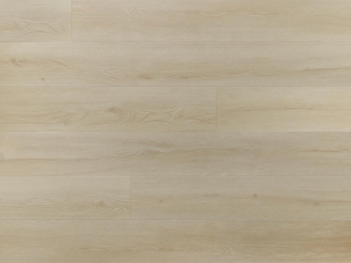 Amaron Superiore – Charlotte Oak