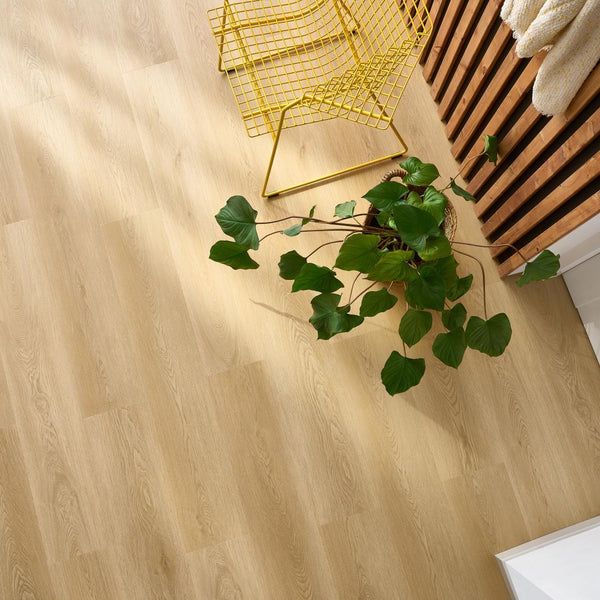 Woodric – Holman Oak i rom
