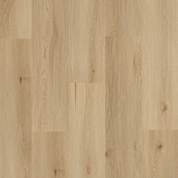 Amaron Wood – Yankee Oak
