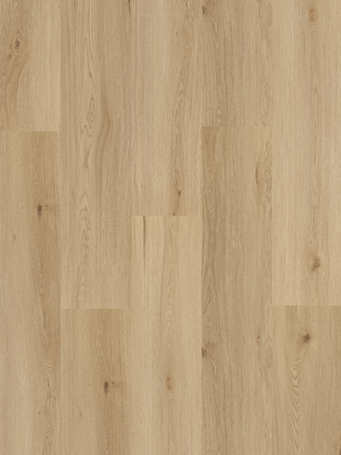 Amaron Wood – Yankee Oak