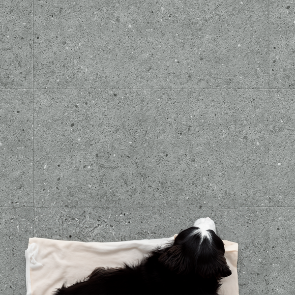 Amaron Forma – Aveiro Grey
