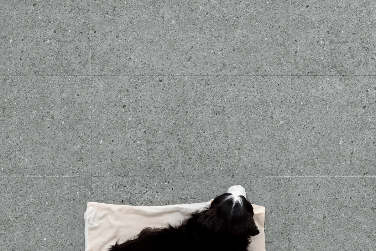 Amaron Forma – Aveiro Grey