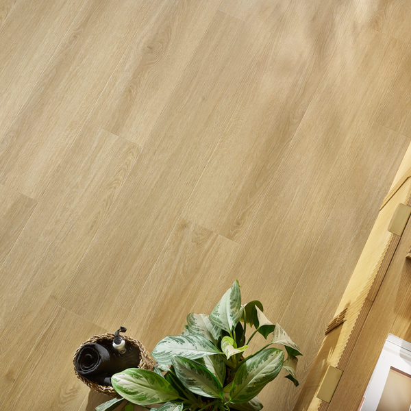 Woodric – Cordoba Oak i rom