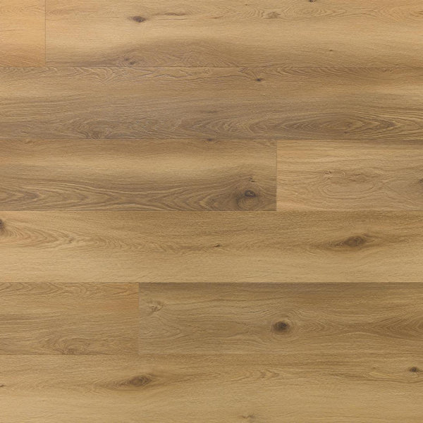 Amaron Superiore – Burbon Oak