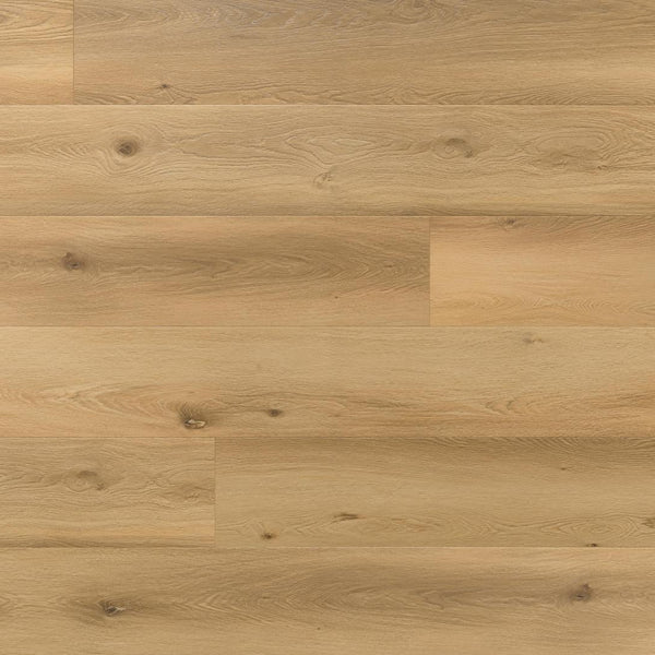 Amaron Superiore – Asturia Oak