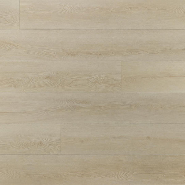 Amaron Superiore – Charlotte Oak