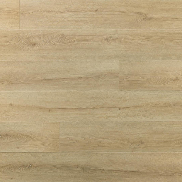Amaron Superiore – Chevalier Oak