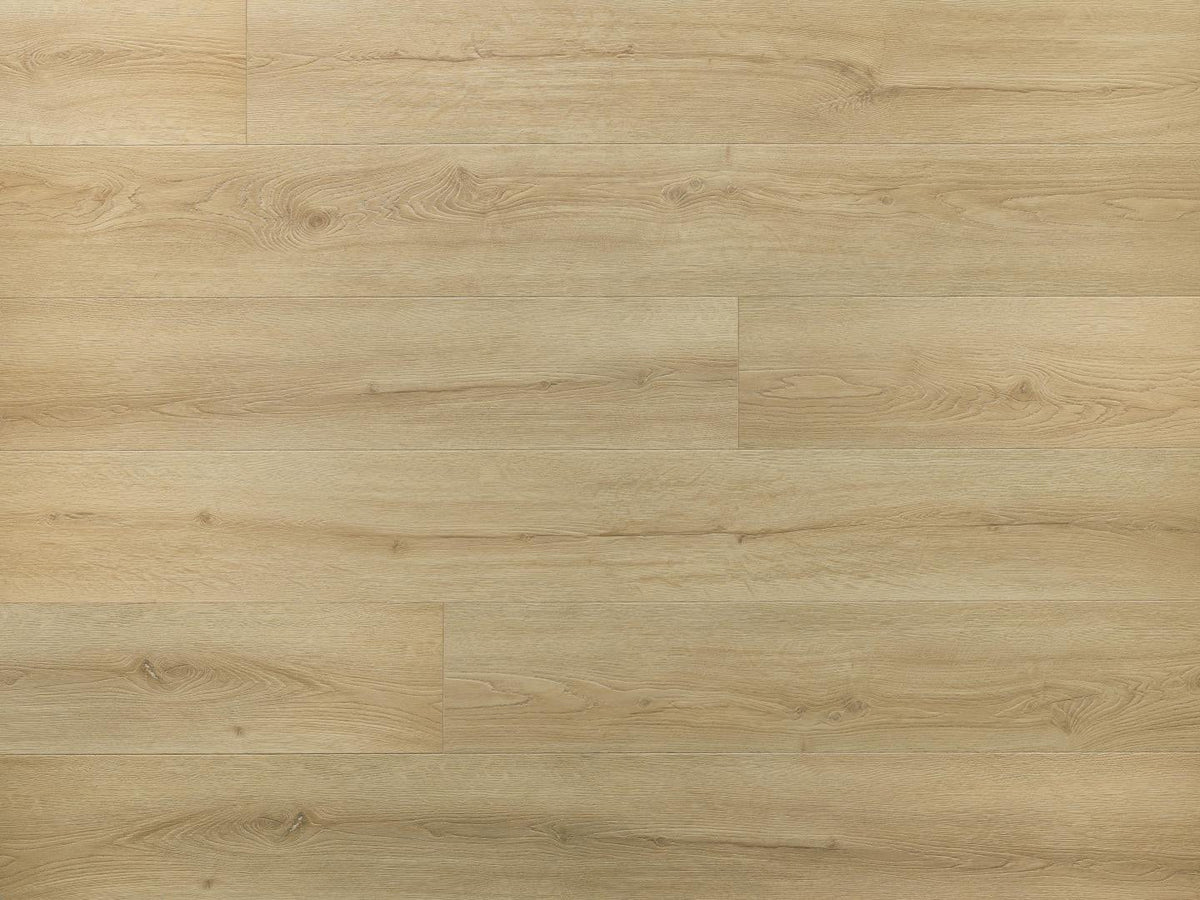 Amaron Superiore – Chevalier Oak