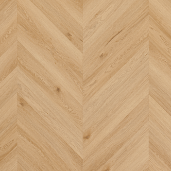 Amaron Chevron – Yankee Oak
