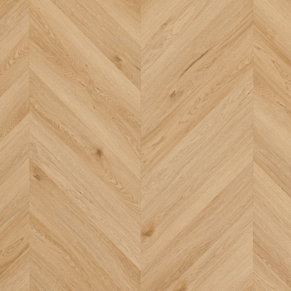 Amaron Chevron – Yankee Oak
