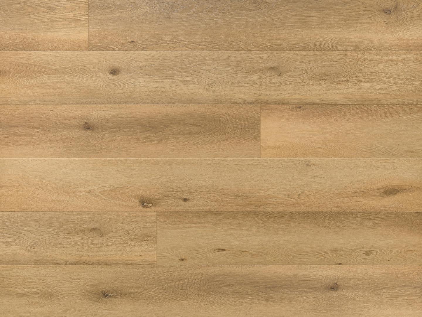 Asturia Oak