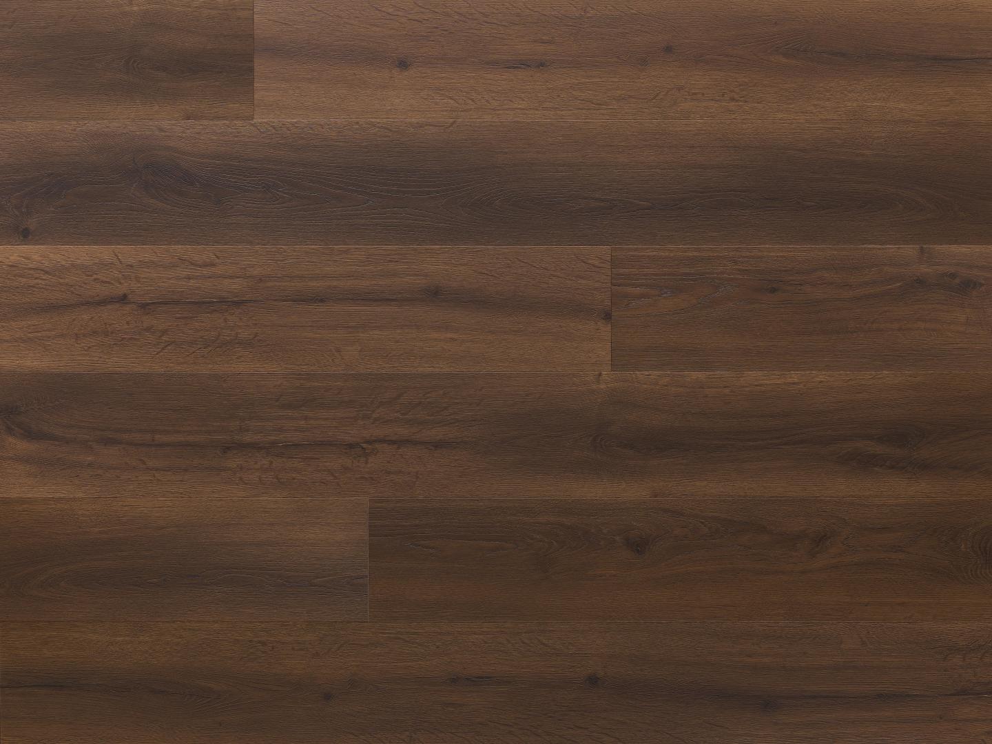 Segovia Oak