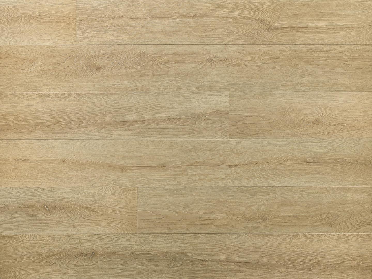 Chevalier Oak