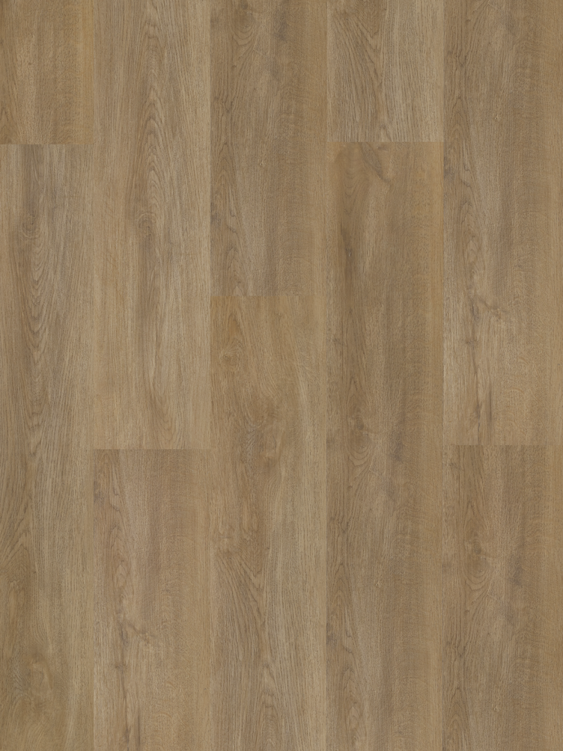 Sierra Oak