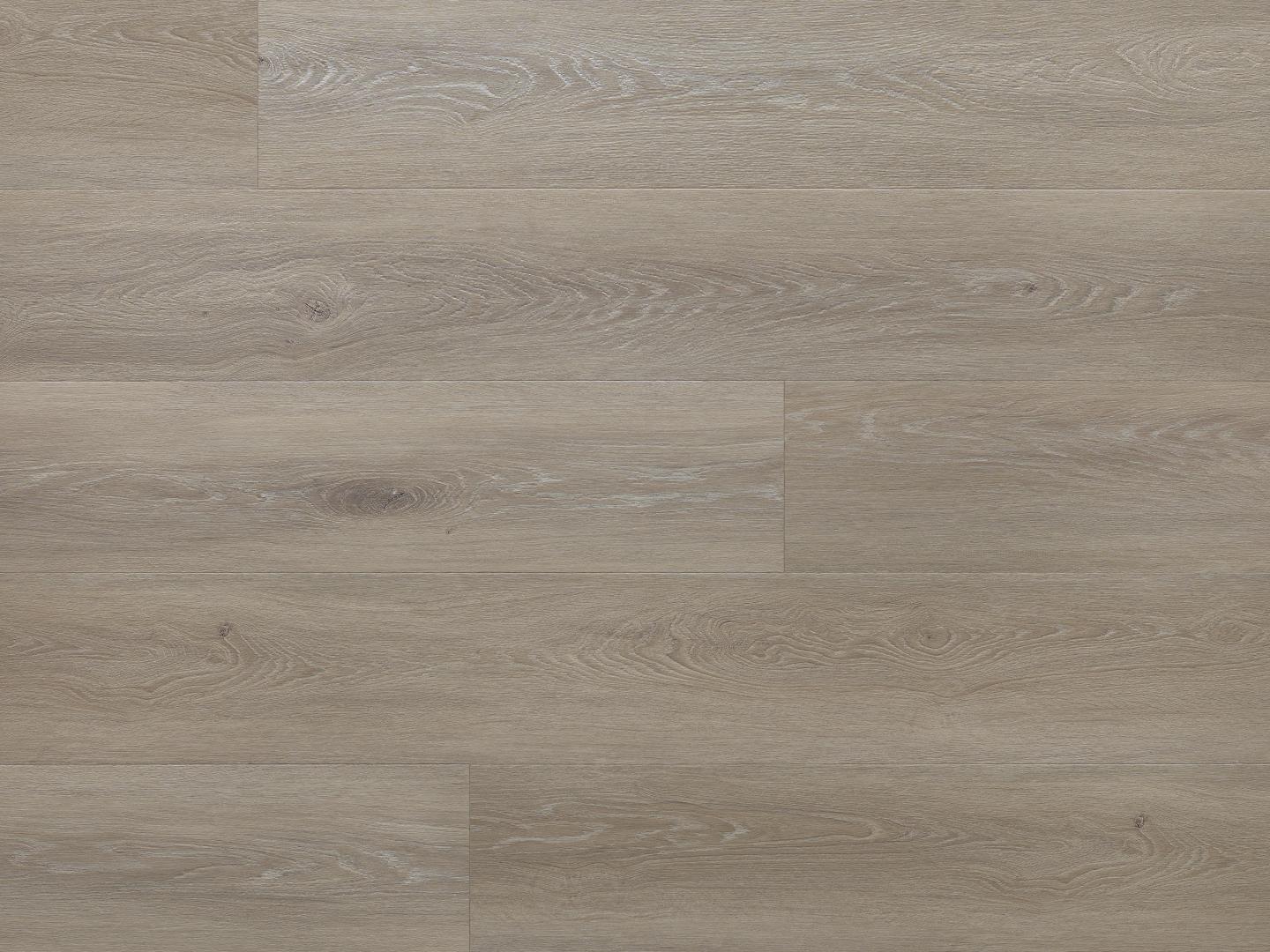 Tampa Oak