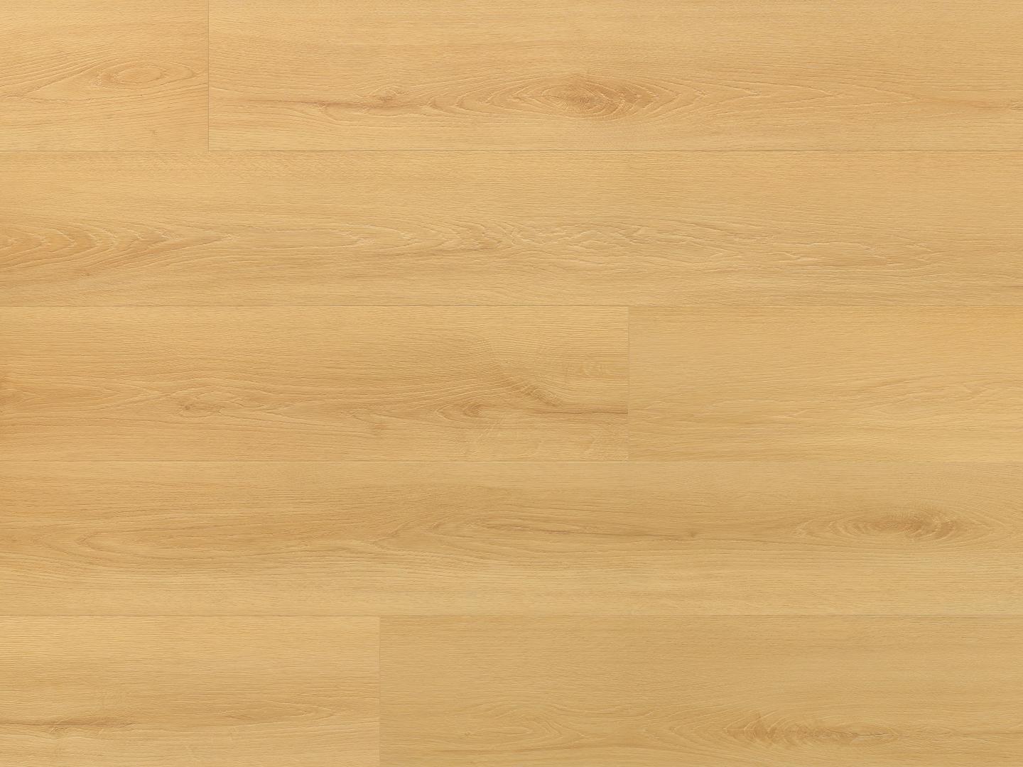 Virgin Oak