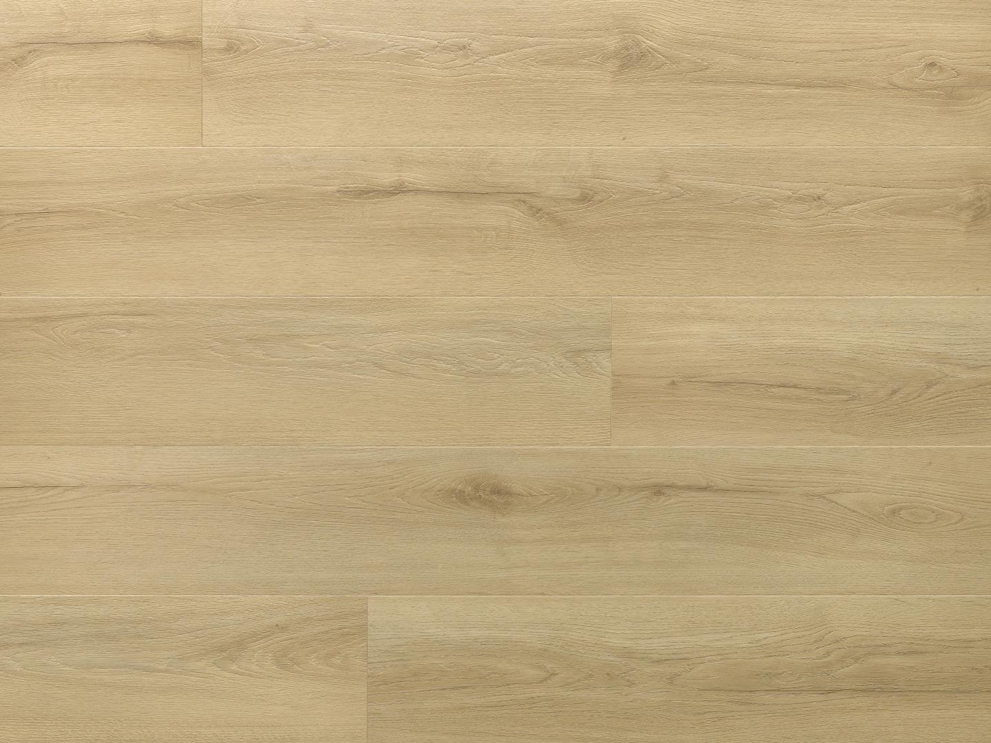 Princeton Oak