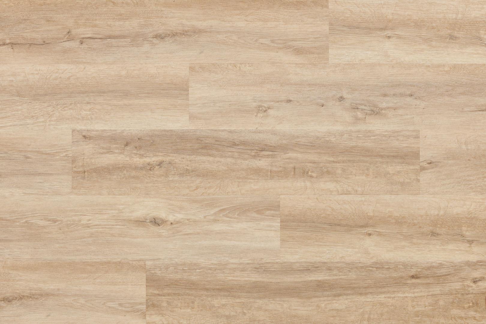 Windsor Oak