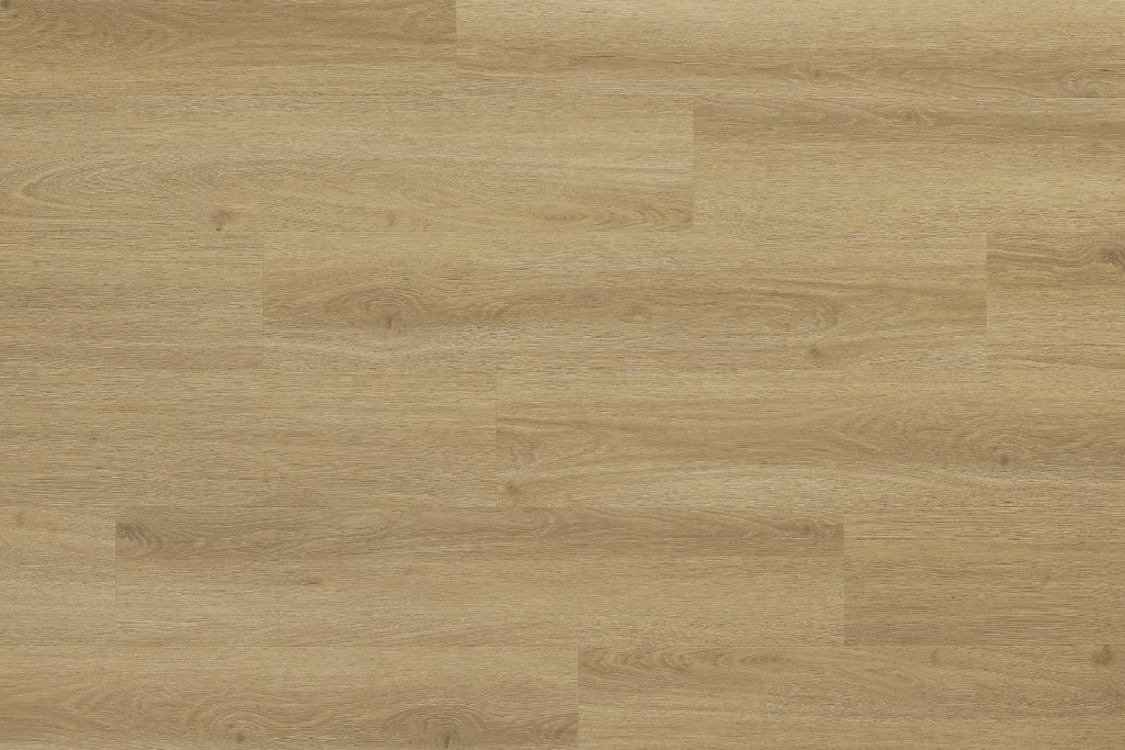 Cordoba Oak